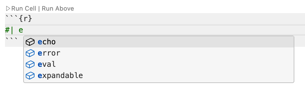 Positron Editor with a code cell option comment. The user has typed #| followed by e and the code completion menu is open, showing available options including echo, error, eval and expandable.